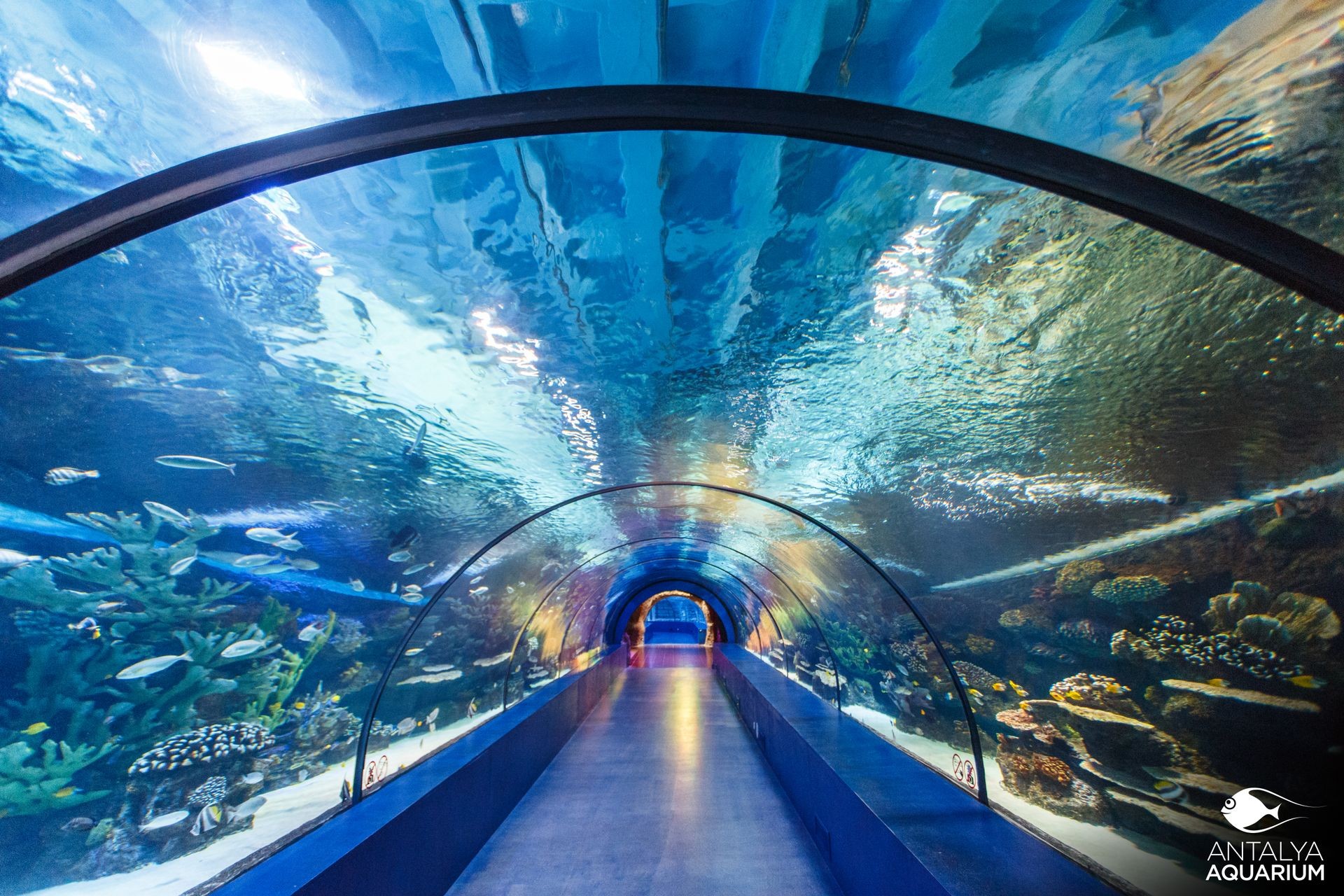 Anyalya Aquarium